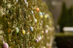 WhatsApp-Image-2026-04-08-at-21.48.41-1-1